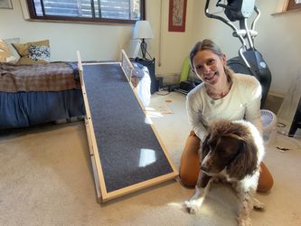 New Dog Ramp for Furniture