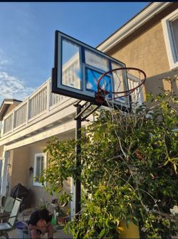 Basketball Court