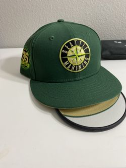 Fitted Hat