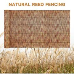 Natural Reed Fencing 