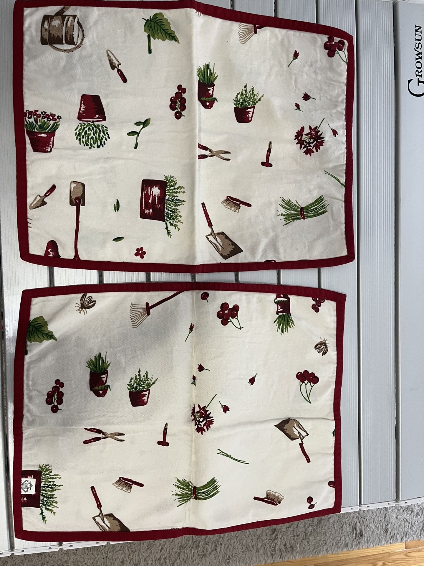 Placemats- Set Of Two