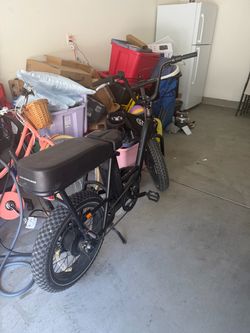 RadRunner Ebike