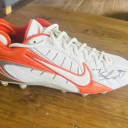 Miami dolphins 