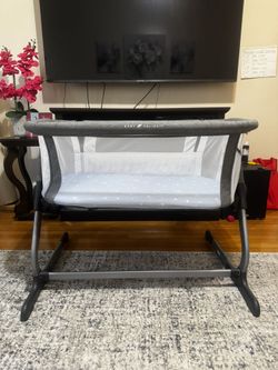 Baby Delight Bedside Bassinet