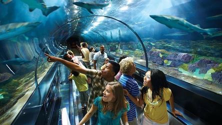 Sea world tickets