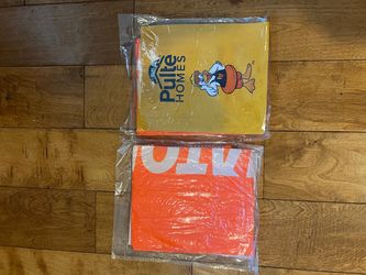 Las Vegas Aviators arm floaties