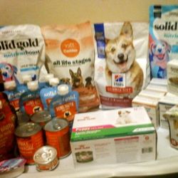 Variety Of Different Brands Of Wet Dog Food And Toppers 