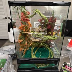 Crested Gecko Enclosure 