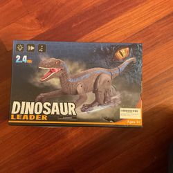 Dinosaur Toy 3+ Remote