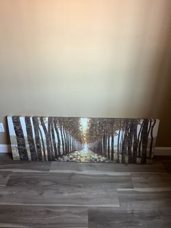 60” L x 20” H