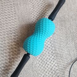 OGEE ROLLER Dr. William Miami