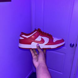 Nike Dunk Low SP SIZE 10.5‼️