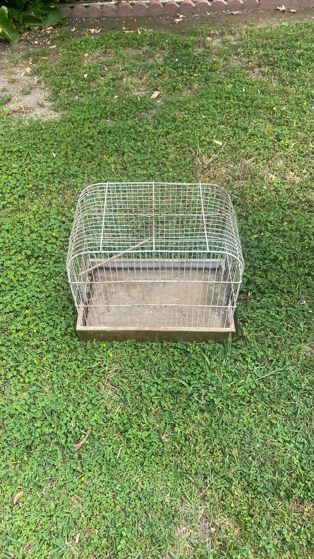 Bird Cage