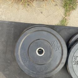 45 Lbs Bumper Plate 