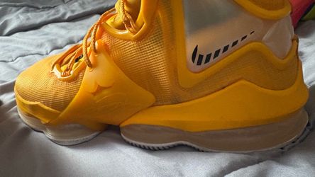 Nike LeBron 19