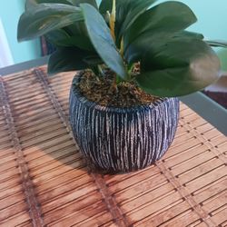 Artificial Plant