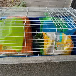 Guinea Pig Cage