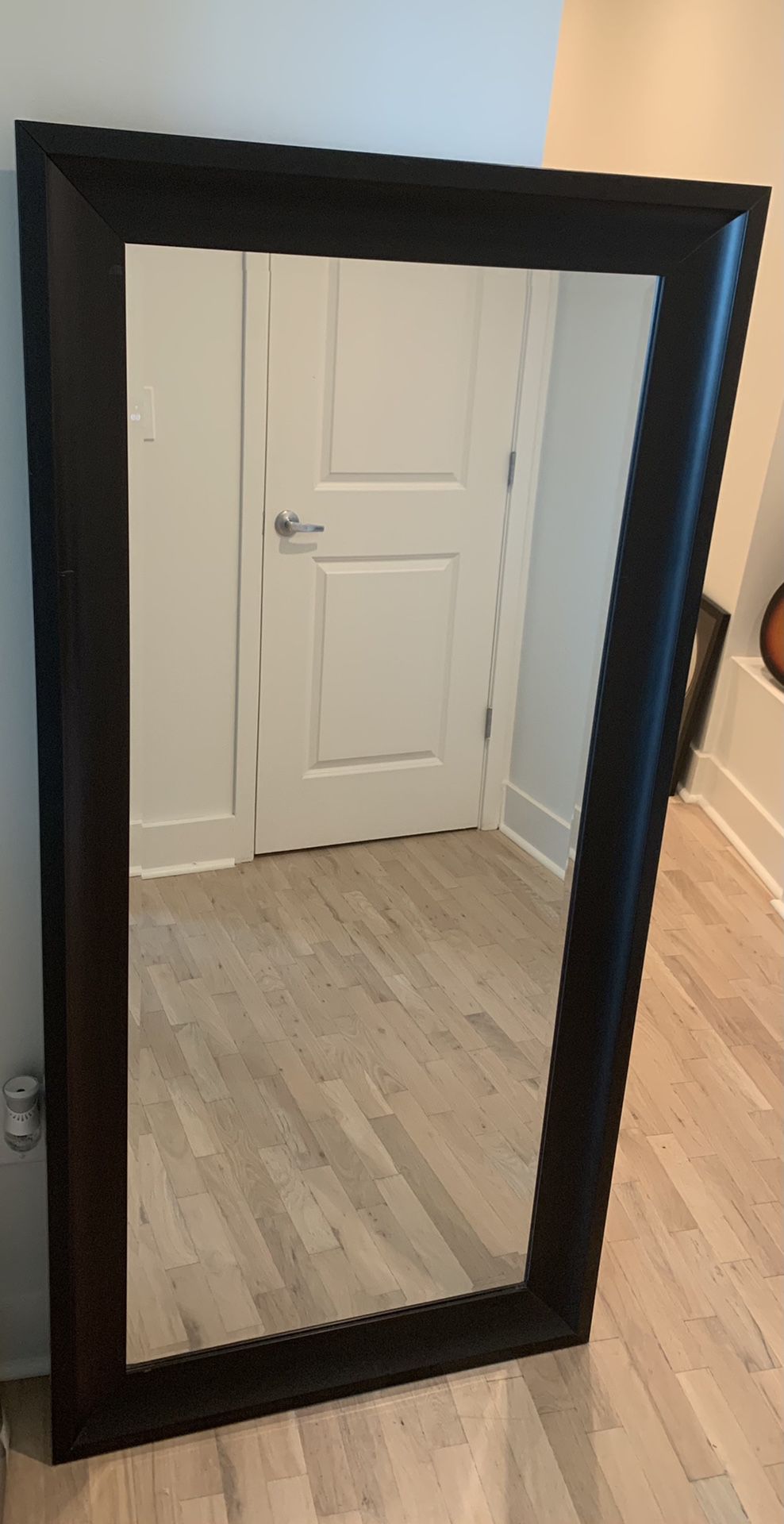 Tall Wall Mirror with Black Frame