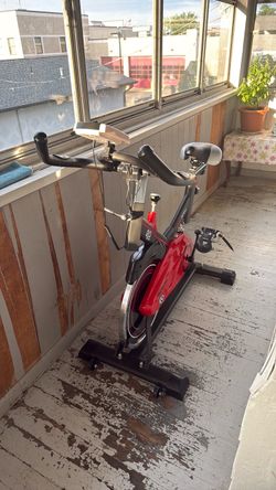 Danamic bycicle