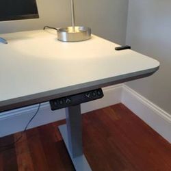 Vari Electric Standing Desk 48"x30" - 