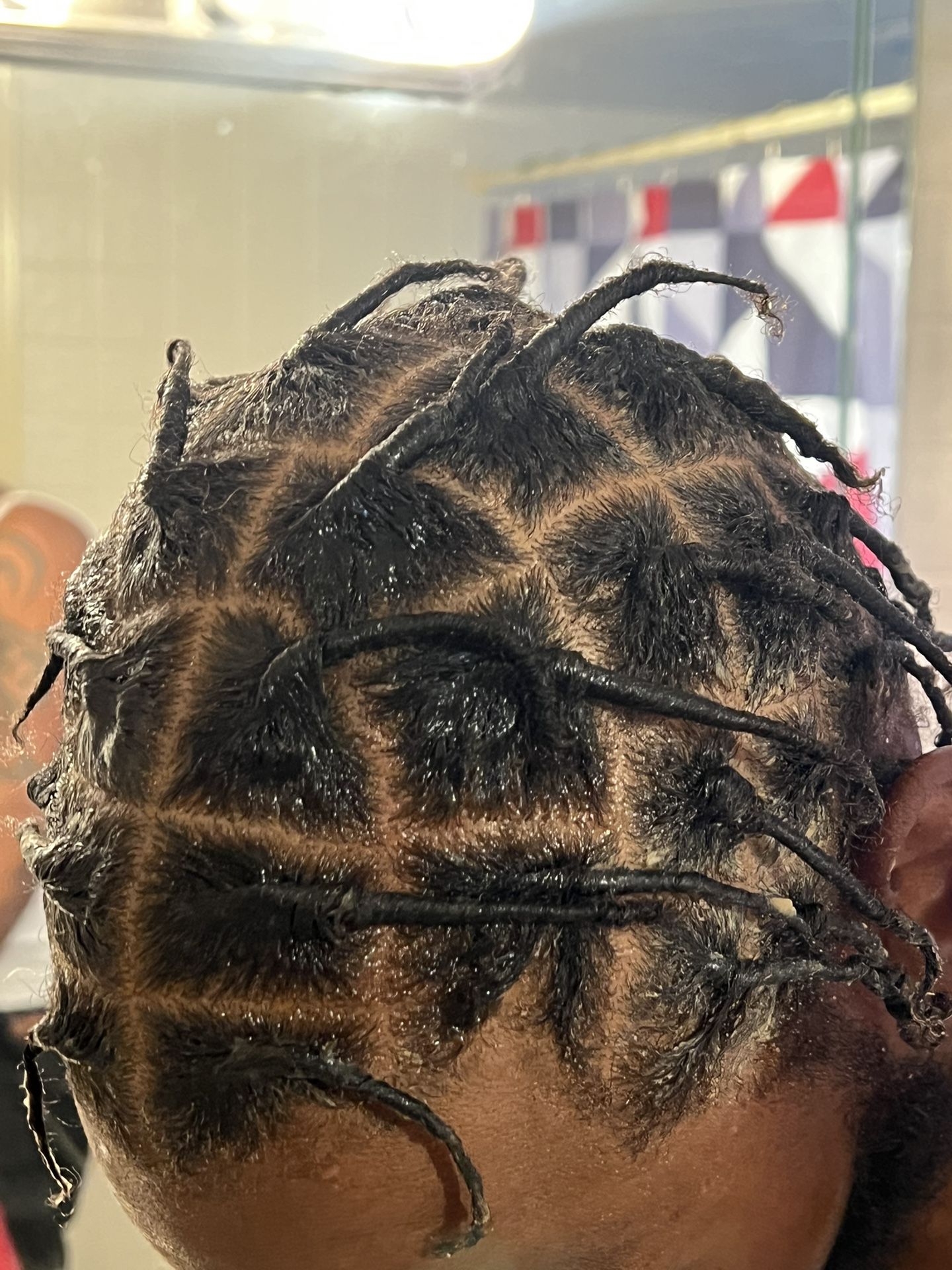 Starter Locs 