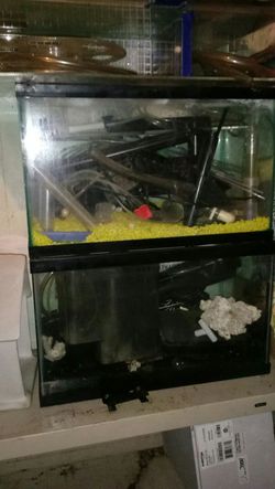 Small fish or turtle tanks