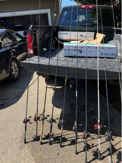 Bass gear galore