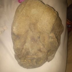 Fossilized Face  