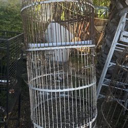 Bird Cage