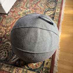 Office Exercise Ball Chair
