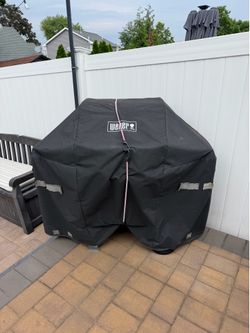 Weber spirit grill