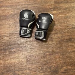 Good Condition SANABUL Boxing Gloves