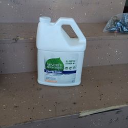 Profesional Degreaser 1 Gal