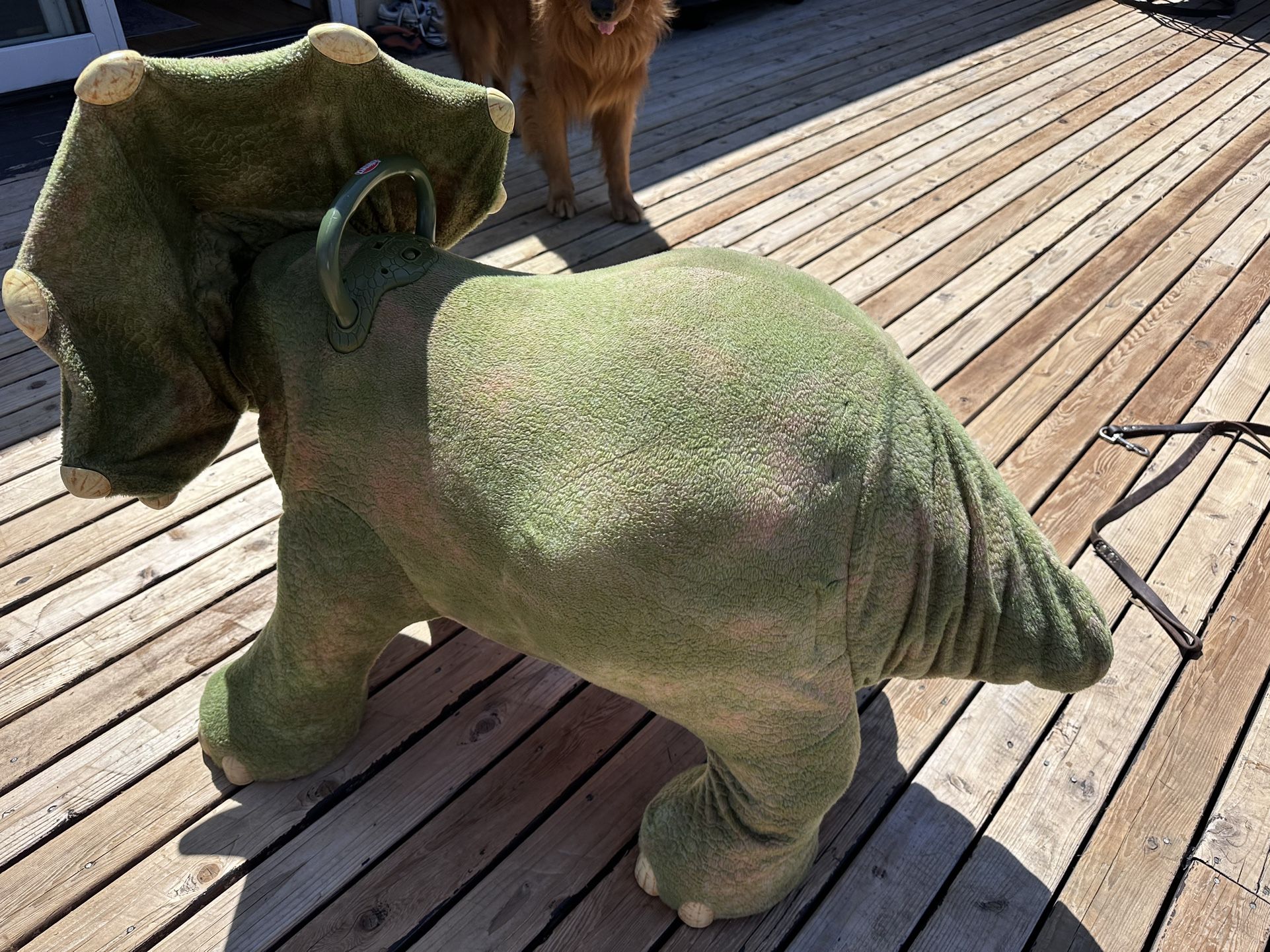 Kota My Playskool My Triceratops Playskool Kota My Triceratops