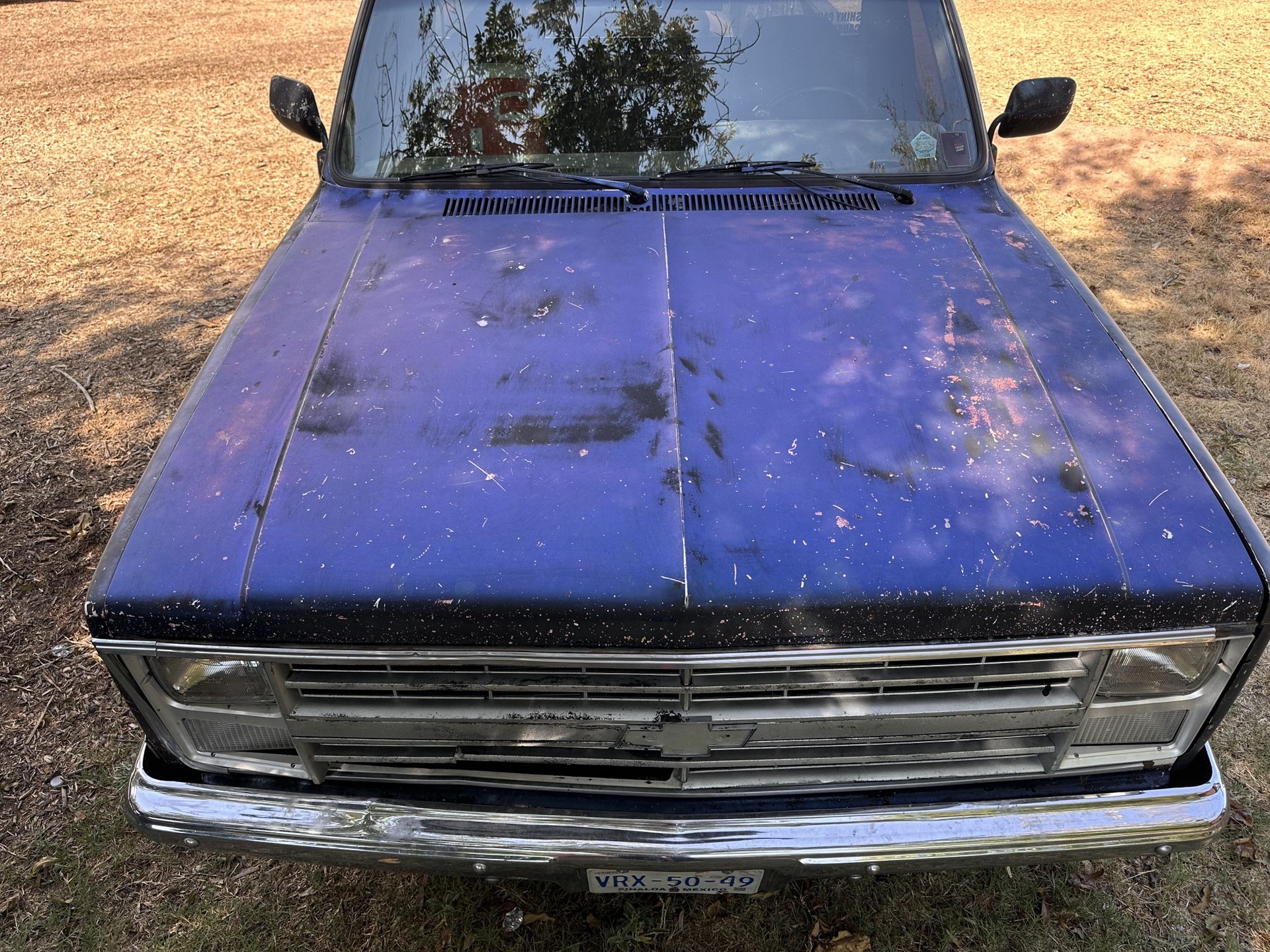 C10 Hood