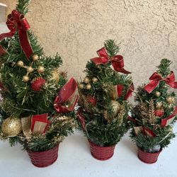 Christmas trees 🎄 