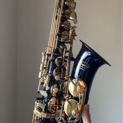 Alto Saxophone (Black And Gold)