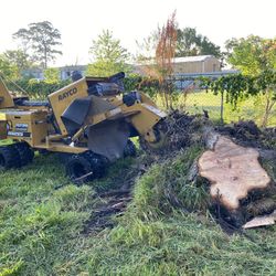 Stump Grinding 