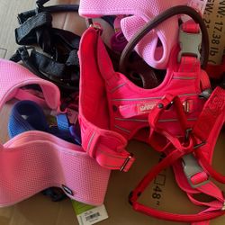 Dog Harnesses 
