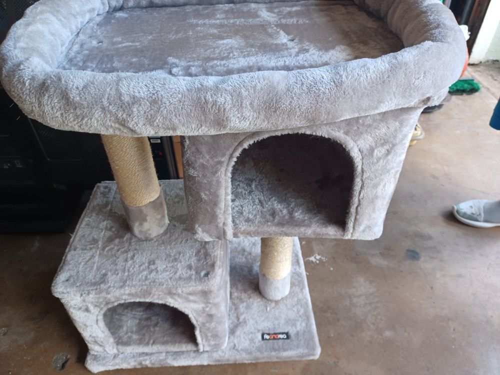 Cat House