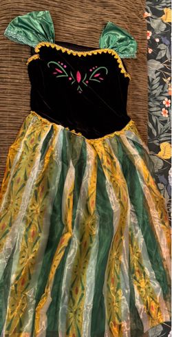 Princess Anna Women’s Costume