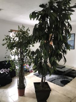 Planta artificial