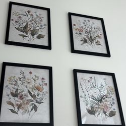 Set of 4 framed botanical prints 