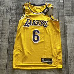 2020-2021 NBA Swingman Icon Edition Los Angeles Lakers Lebron James Jersey!