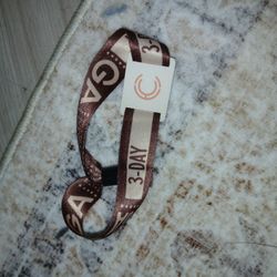 Cattle Country Music Festival 