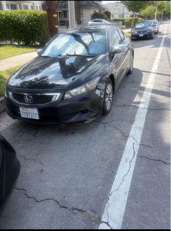 2010 honda accord