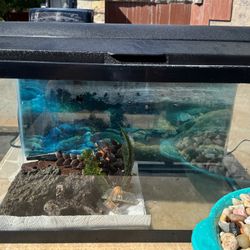Fish tank 