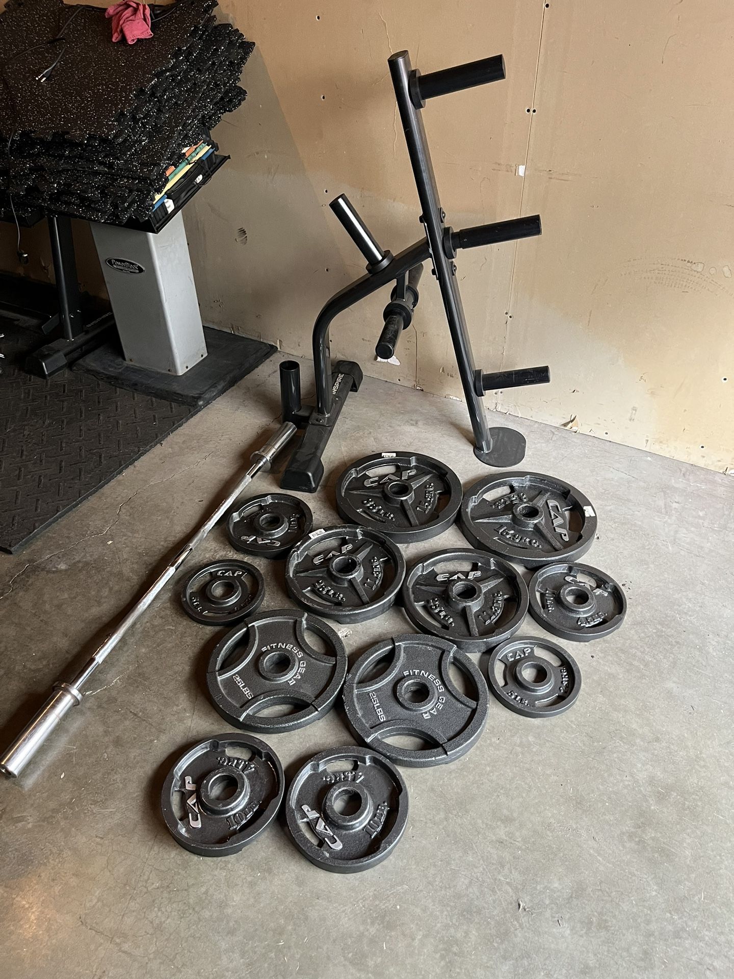 Olympic Weights with Olympic Curling Bar and Stand