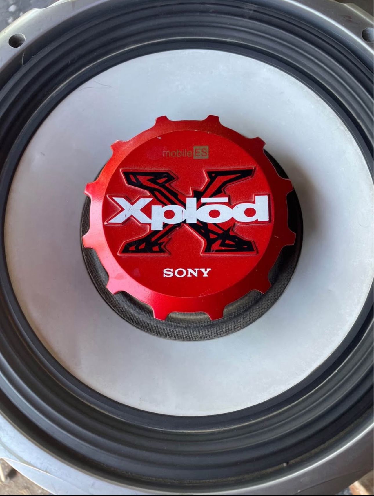 Dual 12" Sony xplod XS-L1255G
