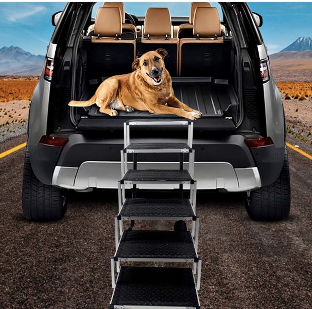 Dog Steps for Large Dog